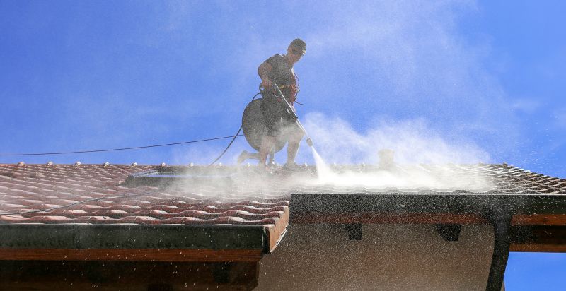 Metal Roof Painting Service