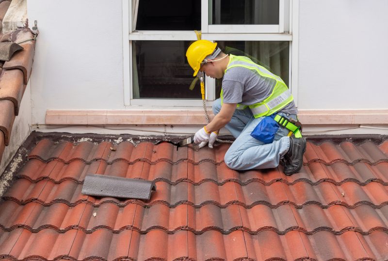 Metal Roof Painting