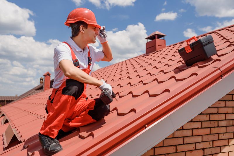 Roof Tile Painting
