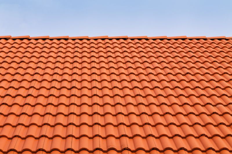 Roof Tile Painting