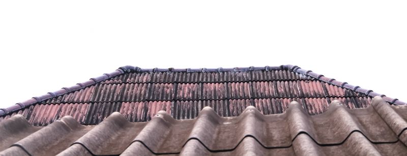 Roof Tile Painting