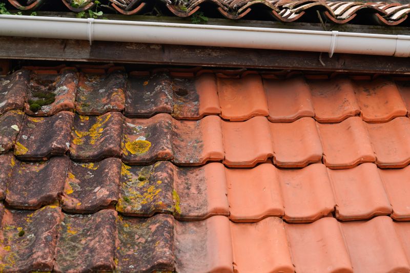 Roof Tile Painting