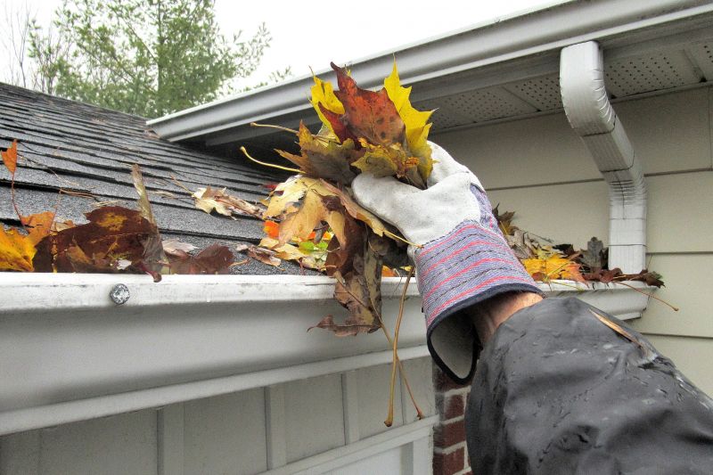 Autumn Roof Painting